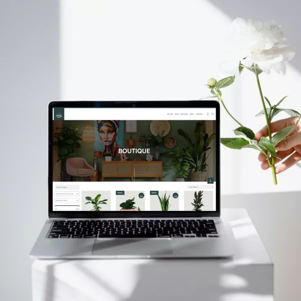 Création de site e-commerce en Haute-Savoie
