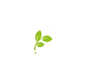 4 Forests